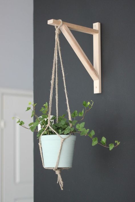 Plantarea Legumelor, Koti Diy, نباتات منزلية, Lime Paint, Hanging Plants Indoor, Indoor Design, House Plants Decor, Diy Plants, Diy Door