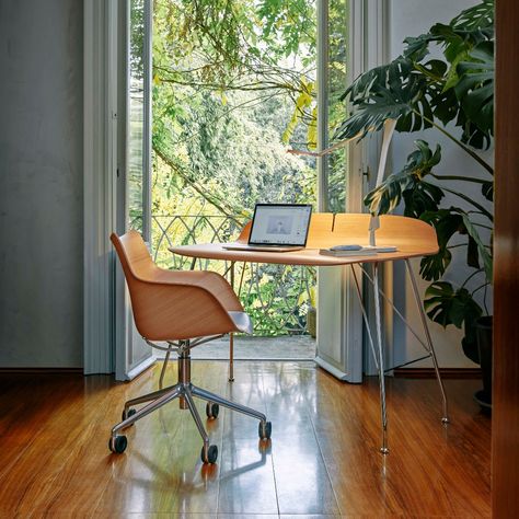 Blending the warmth of wood with contemporary design, this collection showcases the perfect harmony between nature and modernity. From elegant chairs to sleek tables, Kartell's Wood Collection adds a touch of organic charm to any space. Get ready to take your office space to new heights! Explore the Wood Collection now at andlight.com. Direct link in bio. Wood Office Chair, Transparent Chair, Office Productivity, Wood Office Desk, Wood Office, Designer Lamps, Curved Wood, Wood Arm Chair, Philippe Starck