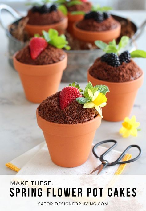 These little flower pot cakes are a fun and tasty dessert idea for spring or Easter. Made with your favourite chocolate cake, then topped with frosting, crumbs, fresh fruit, mint and flowers. Learn how to make these adorable desserts! #springdesserts #easterdesserts #flowerpotcake