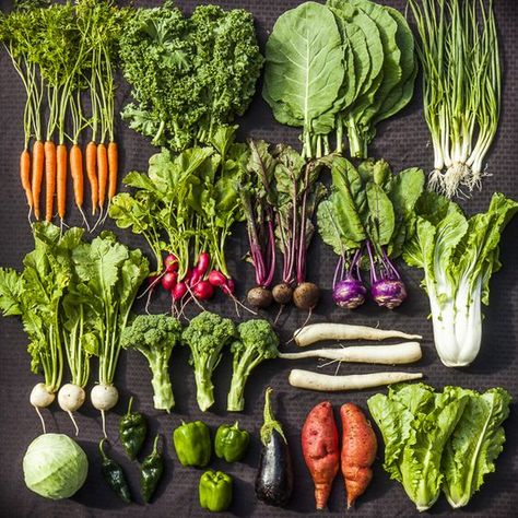 Csa Box, Different Types Of Vegetables, Vegetable Farming, Types Of Vegetables, Food System, Thanksgiving Side Dishes, Organic Vegetables, Fruit And Veg, Food Industry