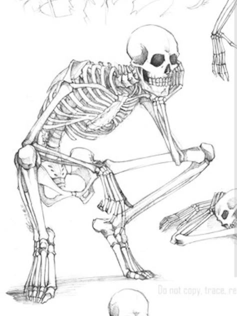 Skeleton For Artist, Skeleton Bending Over, Full Body Skeleton Sketch, Skeleton Wearing Clothes Drawing, Skeleton Sitting Criss Cross, Skeleton Sitting Drawing, Skeleton Sitting Down, Armchair Sketch, Skeleton Sketches