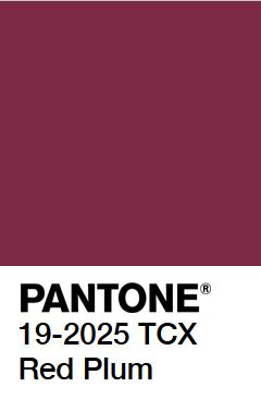 Pantone Red Plum #7C2946 Plum Color Palette, Pantone Red, Plum Wedding, Pantone Colour Palettes, Red Colour Palette, Red Plum, Color Vibe, Jewel Colors, Bridesmaid Dress Colors