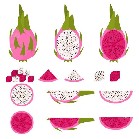 Dragon Fruit Slice, Dragon Fruit Painting, Dragon Fruit Tattoo, Dragon Fruit Illustration, Dragon Fruit Art, Dragon Fruit Drawing, Dragon Fruit Vector, Dragon Fruit Farm, Dragon Fruit Drink