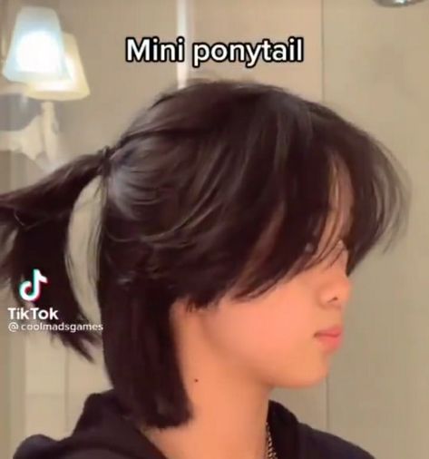 Mini Ponytail, Hairstyles Haircuts, Hair Cuts, Hair Styles, Hair