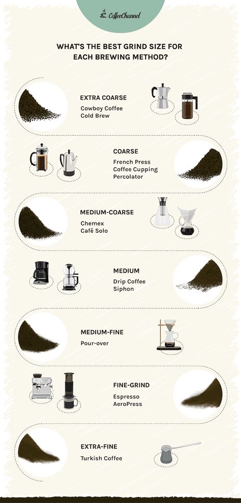 Coffee Grind Size Chart 2022: How Fine Should You Grind? - Coffee Affection Coffee Chart, Green Juice Smoothie, Corner Coffee, Grind Coffee, Coffee Brewing Methods, Coffee Artwork, Types Of Coffee, Fresh Coffee Beans, Coffee Guide