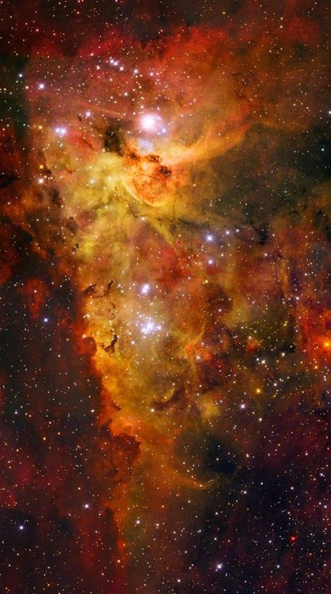 Carl Sagan Cosmos, Carina Nebula, Stars In The Sky, Orion Nebula, Andromeda Galaxy, Hubble Space, Space Photos, Space Pictures, Hubble Space Telescope