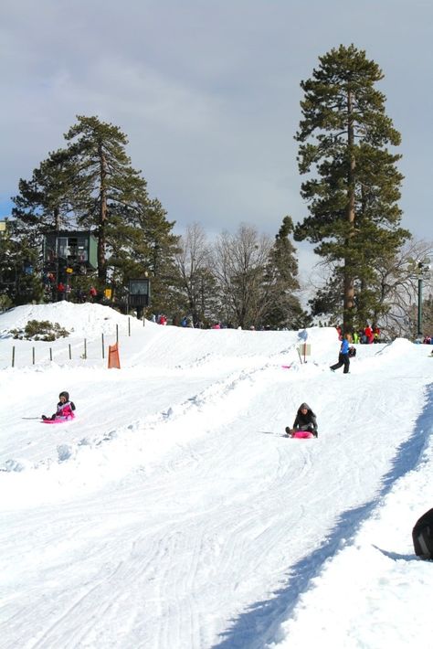 Snow Slides at Snow Valley Bell Reference, Tubing Snow, Snow Sledding, Mountain Slide Switzerland, Holiday Valley Ski Resort, Snow Valley, Snow Play, Sled Ride, Sledding Hill