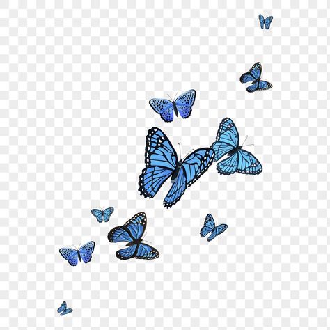 Blue Butterfly Png, Butterfly Border, Png Border, About Butterfly, Watercolor Collage, Transparent Art, Flower Png Images, Butterfly Png, Photo Background Images Hd