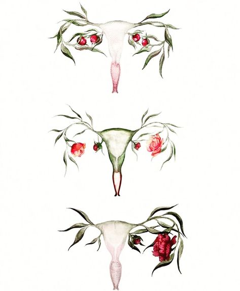 Bini Birth on Instagram: “Garden of Eve 🌹 📷 @heartberry.bw” Uterus Painting, Garden Of Eve, Illustration Inspiration, The Beauty, Art Reference, Animals, On Instagram, Beauty, Instagram