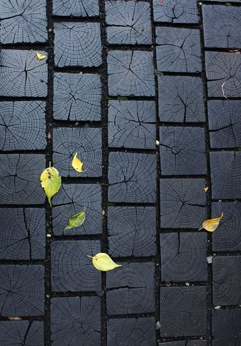 Using a variety of ground coverings in our gardens not only enables us to break up the space, but also to navigate it more easily. Wood Walkway, Desert Willow, Willow House, Charred Wood, Shou Sugi Ban, Inspirational Images, Tiny Homes, Garden Paths, Walkway