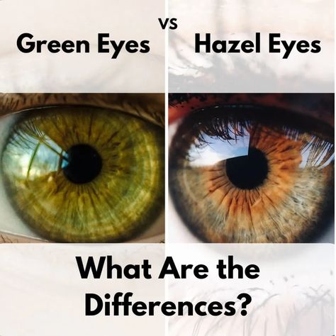 Green Eyes Facts, Eye Color Facts, People With Green Eyes, Rare Eye Colors, Hazel Green Eyes, Eye Color Chart, Rare Eyes, Blue Eye Color, Eye Facts