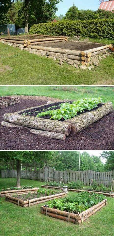 Plant Troughs, Plantarea Legumelor, Raised Vegetable Gardens, Diy Tree, Garden Types, Veg Garden, Have Inspiration, Vegetable Garden Design, Natural Garden