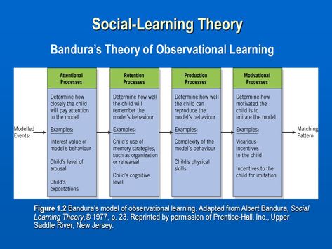 Bandura's Theory of Observational Learning under Social Learning Theory Albert Bandura Social Learning Theory, Bandura Social Learning Theory, Bandura Theory, Behaviorism Theory, Developmental Theories, Nce Study, Psychology Revision, Cognitive Theory, Social Work Theories