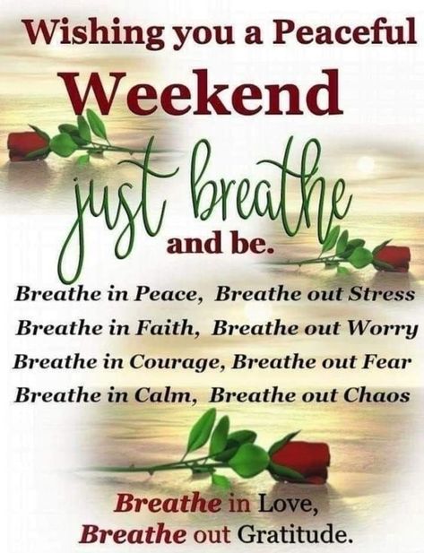 Great Weekend Quotes, Fun Weekend Quotes, Happy Saturday Quotes, Saturday Greetings, Funny Weekend Quotes, Weekend Greetings, Weekend Images, Saturday Quotes, Good Morning Saturday