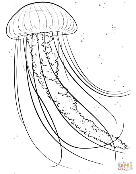 Jellyfish coloring pages | Free Coloring Pages Draw A Jellyfish, Jellyfish Jewelry, Jellyfish Illustration, Jellyfish Photography, Ocean Drawing, Jellyfish Painting, Jellyfish Drawing, Jellyfish Print, Fish Coloring Page