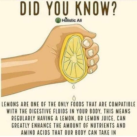 Endocannabinoid System, Did You Know Facts, Food Nutrition, Natural Health Remedies, Lemon Water, How To Squeeze Lemons, New Energy, Health Info, Health Facts