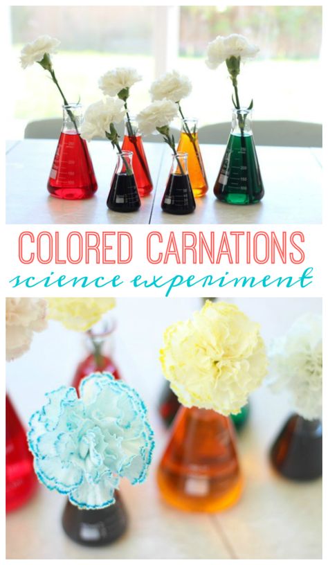 Science Games For Kids, Science Birthday, Elderly Activities, Science Party, Easy Science Experiments, Science Activities For Kids, Art Therapy Activities, Science Fair Projects, Magazines For Kids