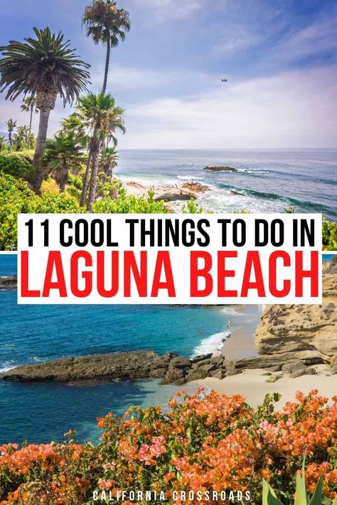 California Cities, Orange County Beaches, Crystal Cove State Park, California Travel Guide, Coastal City, Laguna Beach California, Newport Beach California, California Vacation, Beach Hacks