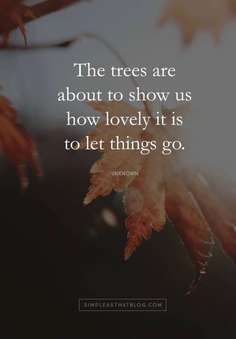 “The leaves are about to show us how lovely it is to let things go.” 🍁 Let Things Go, Beginning Of Fall, Season Quotes, Go For It Quotes, Autumn Quotes, Change Quotes, Change Is Good, Nature Quotes, Beautiful Quotes