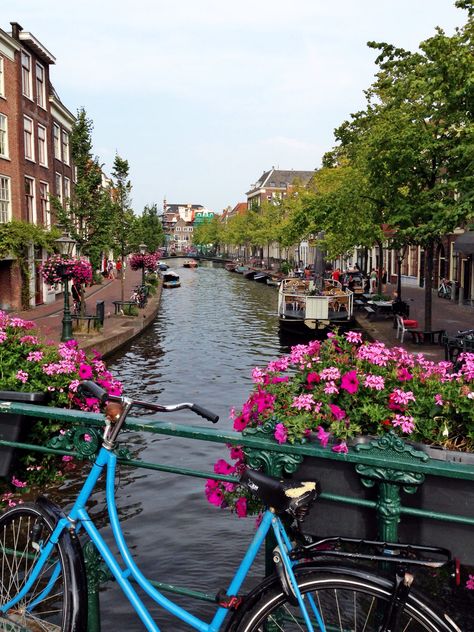 Leiden, Holland Betty Neels, Dream Country, Scenic Places, Water Landscape, Perfect Aesthetic, Adventure Travel Explore, Breathtaking Places, Amsterdam Travel, Travel Locations