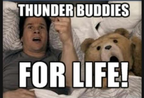 Thunder Buddies, Thunder Buddy, Ted Movie, Thunder And Lightning, Lightning Storm, Still Love You, Meaningful Words, Movies Showing, Funny Photos