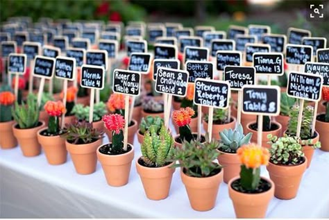 Kaktus Dan Sukulen, Succulent Favors, Deco Champetre, Boda Mexicana, Succulent Wedding, Museum Wedding, Wedding Souvenirs, בר מצווה, Wedding Time