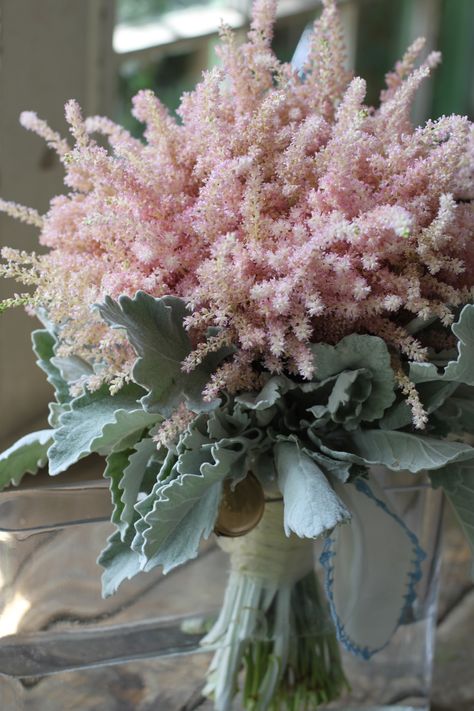 light airy pale pink pastel astilbe bouquet dusty miller handkerchief locket bridal bouquet spring sewickleypittsburgh bride Astilbe Wedding Bouquet, Astilbe Wedding, Pale Pink Bouquet, Dusky Pink Bouquet Wedding, Pink Astilbe Bouquet, Flowers List, Dusky Pink Bouquet, Delphinium Bouquet, Astilbe Bouquet