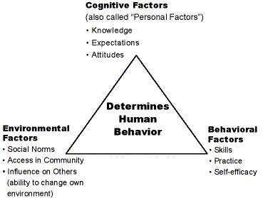 Source: Wikipedia.com Social Cognitive Theory, used in psychology, education, and communication, posits that portions of an individual's knowledge acquisition can be directly related to observing o.. Cognitive Theory, Dissertation Motivation, Social Cognitive Theory, Social Learning Theory, Child Development Theories, Communication Theory, Learned Behaviors, Organizational Behavior, Self Efficacy