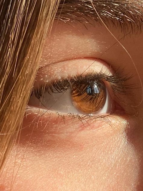 Girls Eye Dp, Brown Eyes Aesthetic, Beautiful Eyes Color, Beautiful Brown Eyes, Eye Pictures, Brown Eyed Girls, Aesthetic Eyes, Aesthetic Women, Cute Couple Selfies