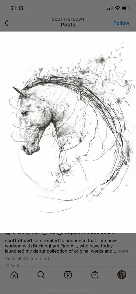 Horse Tattoo Design, Spirit Tattoo, Horse Sketch, Wildlife Artwork, Horse Illustration, Horse Tattoo, Horse Drawing, Horse Drawings, Pony Drawing