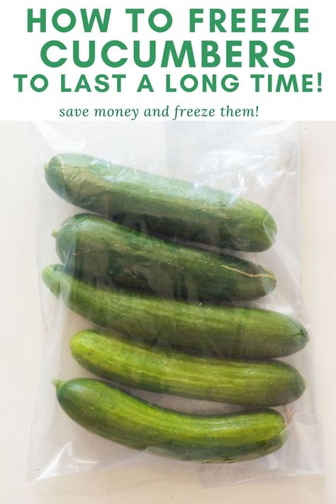 Tips to help you store your cucumbers to make them last for weeks.  Here's how to store them in the refrigerator, on the counter and in the freezer. Storing Cucumbers, Freeze Cucumbers, Freezing Cucumbers, Store Cucumbers, How To Store Cucumbers, Recipes For Canning, Freezing Fruit, Nyc Kitchen, Cucumber Canning