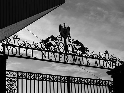 Fc Tokyo, Liverpool Tattoo, Gerry And The Pacemakers, Football Liverpool, Liverpool Soccer, Liverpool Wallpapers, This Is Anfield, Shirley Bassey, Broken Dreams