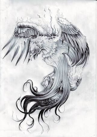 This is a fanfic of Harry potter. #fantasy #Fantasy #amreading #books #wattpad Tato Phoenix, Rising Phoenix Tattoo, Phoenix Bird Tattoos, Tattoos Pinterest, Phoenix Tattoo Design, Geniale Tattoos, Initial Tattoo, Phoenix Bird, Old Tattoos