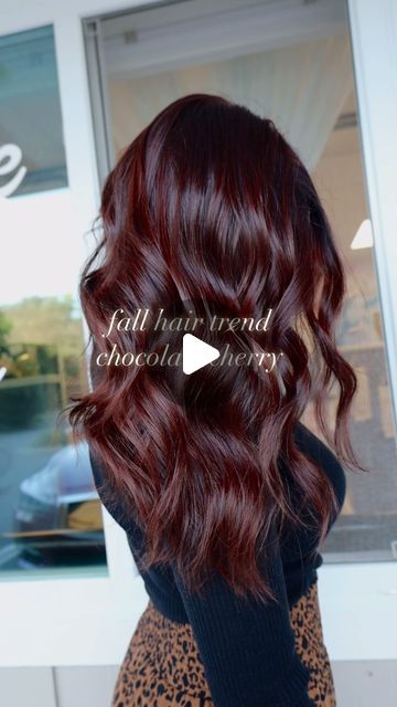 DANIELLE DOES HAIR on Instagram: "FALL HAIR TREND // CHOCOLATE CHERRY 🍒🤎 #DANIELLEDOESHAIR" Mohagany Brown Hair Color Fall, Chocolate Strawberry Hair, Mohagany Brown Hair, Cherry Mocha Hair, Black Cherry Balayage, Cherry Chocolate Hair Color, Brown Cherry Hair Color, Fall Brunette Hair Color Balayage, Cherry Black Hair