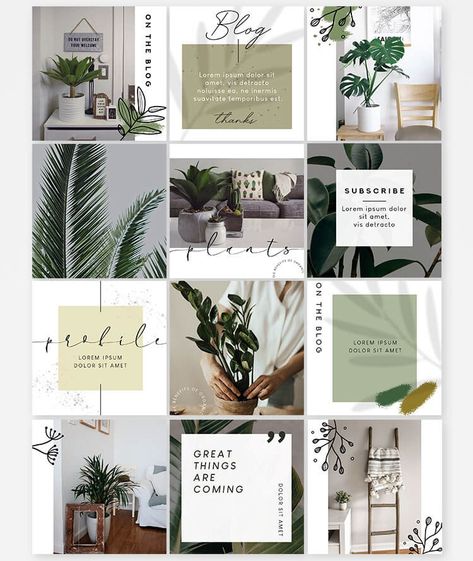 Plant Social Media Post, Plant Instagram Feed, Florist Instagram Feed, Plant Instagram, Branding Mood Board Inspiration, Free Social Media Templates, Garden Hacks Diy, Instagram Feed Layout, Gardening Hacks