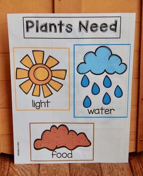 Spring Has Sprung: Learning All About Plants - Preschooligans.com % Spring And Gardening Preschool, Botany For Preschoolers, Plants Toddler Activities, Planting Lesson Plans For Preschool, Toddler Planting Activities, Spring Theme Kindergarten, Spring Ideas For Kindergarten, Garden Theme Toddler Activities, Preschool Planting Seeds