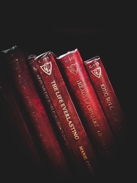 Red Literature Aesthetic, Red Writer Aesthetic, Gray And Red Aesthetic, Red Aesthetic Books, Red Books Aesthetic, Red Book Aesthetic, Red And Brown Aesthetic, Dark Library Aesthetic, Red Dark Aesthetic