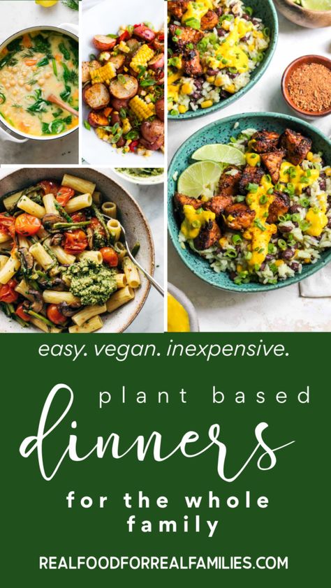 Plant Based Dinners Easy, Plant Based Dinner Ideas, Plant Based Dinners, Dinners For Families, Plant Based Diet Meals, Plant Based Meal Planning, New Recipes For Dinner, Spinach Pesto, Plant Based Recipes Dinner