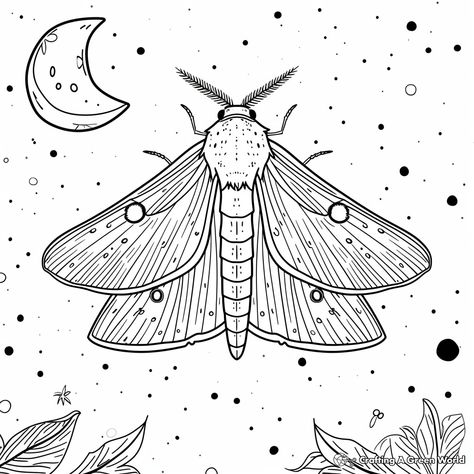 Moth, Coloring Pages, Color, Colouring Pages