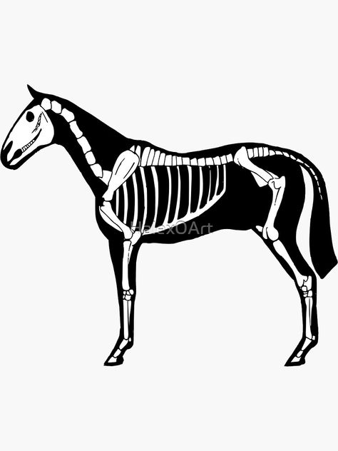 Horse Skeleton Paint, Skeleton Horse And Rider, Halloween Horse Art, Horse Skeleton Drawing, Animal Skeleton Art, Horse Skeleton Halloween, Wyoming Aesthetic, Horse Halloween Ideas, Skeleton Horse