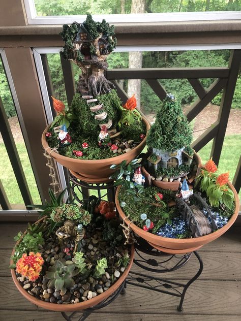 Kids Fairy Garden, Fairy Garden Containers, Fairy Garden Pots, Indoor Fairy Gardens, Fairy Garden Gnomes, Fairy Garden Ideas, Fairy Garden Plants, Fairy Garden Crafts, Fairy Garden Designs