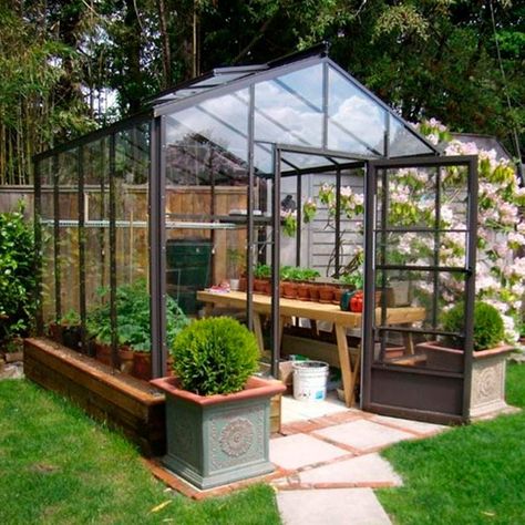 Green House Ideas, Homemade Greenhouse, Cheap Greenhouse, Modern Greenhouses, Best Greenhouse, Tattoo Plant, Hobby Greenhouse, Outdoor Greenhouse, Build A Greenhouse