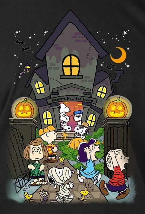 Wallpaper Snoopy, Great Pumpkin Charlie Brown, Charlie Brown Halloween, Peanuts Halloween, Snoopy Halloween, Thanksgiving Wallpaper, Peanuts Cartoon, Snoopy Wallpaper, Snoopy Quotes