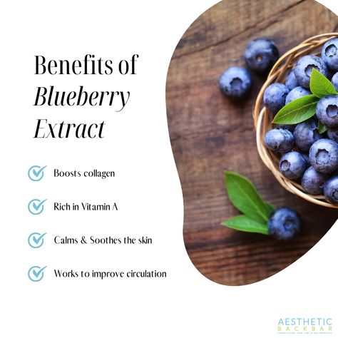 Blueberries, yum! Blueberries are rich in antioxidants which in turn benefits your skin's health. Not only do you consume them, you can find blueberry extract in your skincare products. Check out our Vitamin C Serum! #blueberryextract #antioxidants #estheticians #facials #spafacial #benefitsofblueberries #wholesaleskincare #estheticiansskincare Blueberry Skincare, Canned Blueberries, Blueberry Extract, Facial Spa, Vitamin C Serum, What’s Going On, Blueberries, Skin Health, Skincare Products