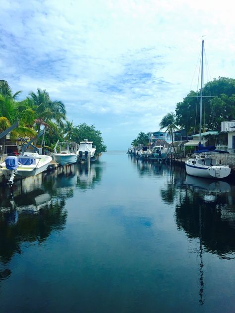 Backyard view from house in Florida Keys Florida Canal Backyard, Florida Keys House, Florida Keys Aesthetic, The Keys Florida, House In Florida, Hemingway House Key West, Mermaid Book, Ernest Hemingway House Key West, Backyard View