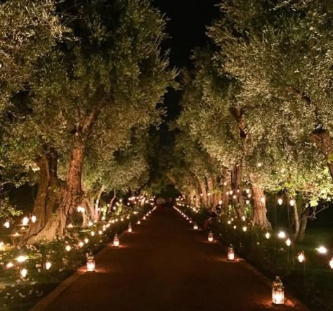 Proposal Lights Outdoor, Garden Wedding Night, Tree Lights Wedding, Outdoor Night Wedding, Luxurious Garden, Outdoor Lighting Design, Forest Theme Wedding, Dream Wedding Decorations, Outdoor Wedding Decorations