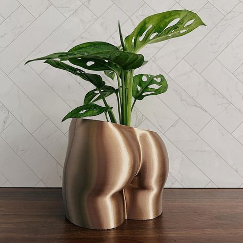 3d Planter Ideas, 3d Printed Stuff, Small Houseplants, Salon Suites, Future Apartment Decor, Garden Cafe, 9 Hours, Apartment Decor Inspiration, Decor Home Living Room