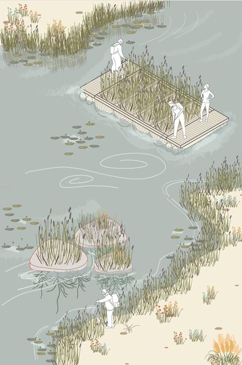 Axonometric Diagram Landscape, Landscape Architecture Axonometric, Architecture Axonometric Drawing, Land Art Ideas, Landscape Architecture Concept, Wetland Design, Planting Design Plan, Land Architecture, Landscape Architecture Section