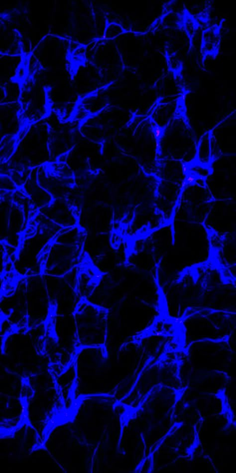 Blue Walpepar, Black Blue Wallpaper Iphone, Wallpaper Iphone Blue Dark, Cool Dark Blue Wallpaper, Blue Dark, Black N Blue Wallpaper, Royal Blue Wallpaper Aesthetic, Blue And Black Wallpaper, Black And Blue Color Palette