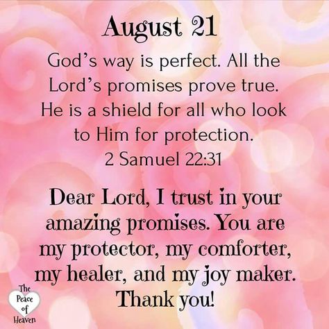 August 21~~J~ 2 Samuel 22:31 Daily Blessings, 2 Samuel, Answered Prayers, Daily Prayers, Daily Verses, Spiritual Leader, Daily Scripture, Prayer Verses, Verses Quotes